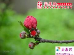 避免职场烂桃花的秘法(图文)