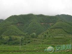 怎样破坟地风水(图文)