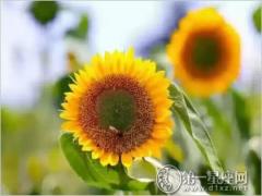聚财的个人风水该注意什么(图文)