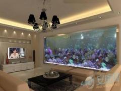 风水鱼缸应如何摆放？掌握正确摆放技巧(图文)