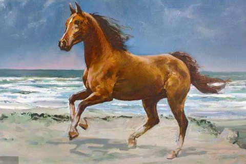 属马男人婚姻与命运如何