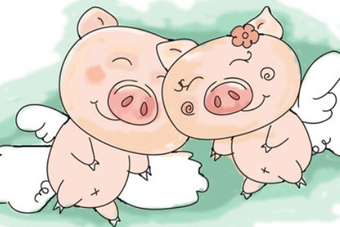 属蛇的和属猪的相配吗