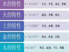 事物五行属性分类表