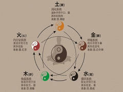 五脏强弱和性格的关系