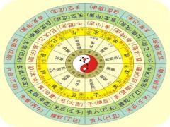 怎么看四柱排盘？