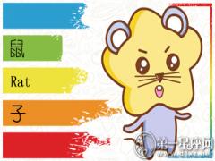 属鼠讨厌父母干涉什么(图文)