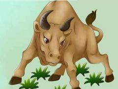属牛的婚姻好不好