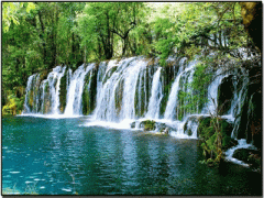 6，己巳是什么意思，己巳详解