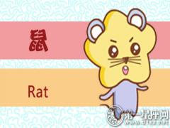 属鼠遇到不懂的问题怎么做(图文)