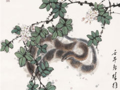 属蛇女生晚婚会嫁哪个生肖(图文)