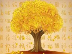 详解八字中的偏财