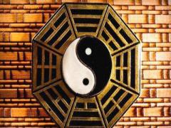 为什么八字带伤官会纵欲