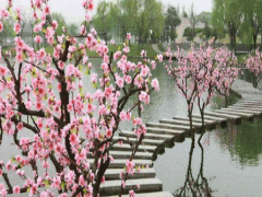 八字命理中的十种桃花