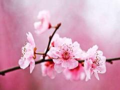 看女人桃花最旺的6个时间点