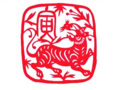 1974年属虎人2020年运势女性 74虎女今年每月运势