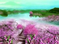 八字看你属于哪种桃花？