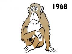 1980年属猴男性2021年运势80年41岁属猴人2021年每月运势(图文)