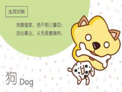 一地马牛野兽藏是什么动物(图文)