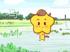 讨人喜欢的动物是什么生肖 什么生肖最会讨人喜欢(图文)