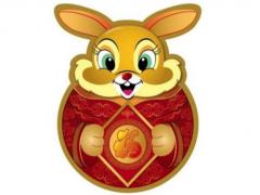 2020年45岁属什么生肖，2020年运势好不好