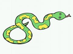 为什么说蛇猴是冤家(图文)