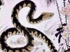 属蛇男人不喜欢你的表现