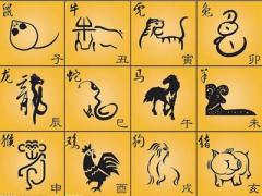 十二生肖对应什么地支？