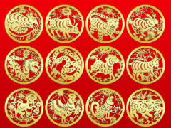 麦玲玲2020年生肖运程完整版