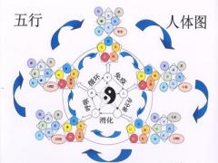 如何认识与运用你的五行？