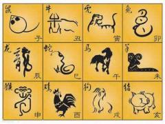 2020年属什么生肖运势好
