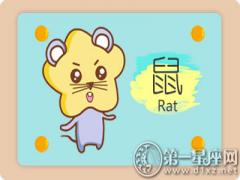 属鼠被催债会怎么做(图文)