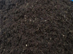 戊土生于酉月