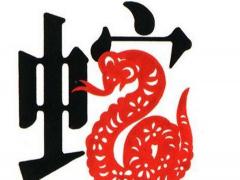 属蛇人性格和脾气女