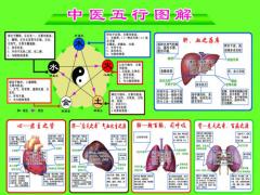 中医与五行