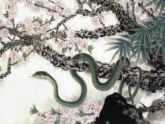 属蛇的女人几月出生命最好