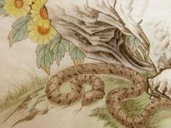 属蛇出生哪个月份最苦