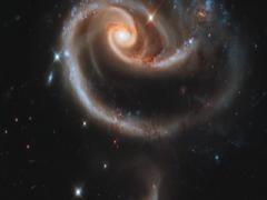 七杀星