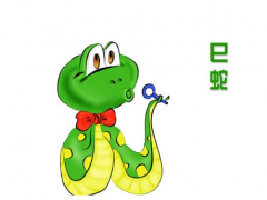属蛇人上等命的出生时辰是几点(图文)