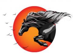 2014年属马的是什么命，14年出生的马五行属什么