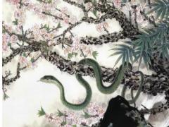 属蛇的男生性格及脾气