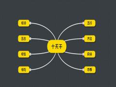 十天干的基本含义