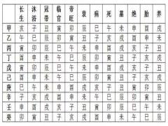 命局吉凶神煞