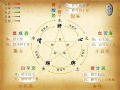 五行属性与人体五脏的对应关系（五行与人体脏位对照表）