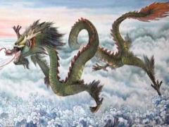 属龙的命运好不好