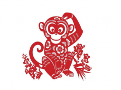 2020年64岁属什么生肖，2020年运势好不好