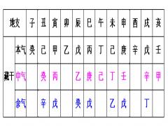 地支循藏与五行分布