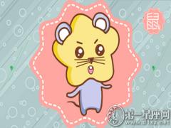 如果能重来属鼠希望人生是什么剧(图文)