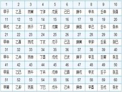 六十花甲