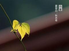 2020年白露的财神是什么方位？白露这天有什么风俗？
