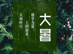 2020年大暑气温有几度,2020年大暑会不会下雨？